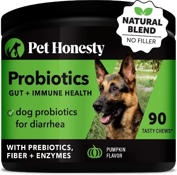PETHONESTY Digestive Probiotic Pumpkin Flavor Health Dog Supplement, 90 count - Chewy.com