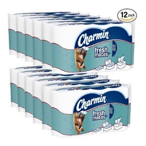 Charmin Freshmates Flushable Wet Wipes, 40 Count (Pack of 12)