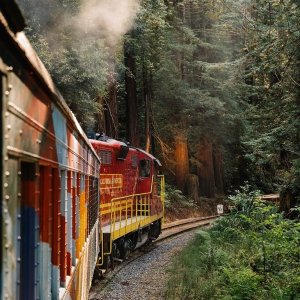 北加州海滨小城布拉格堡 7英里景观小火车之旅