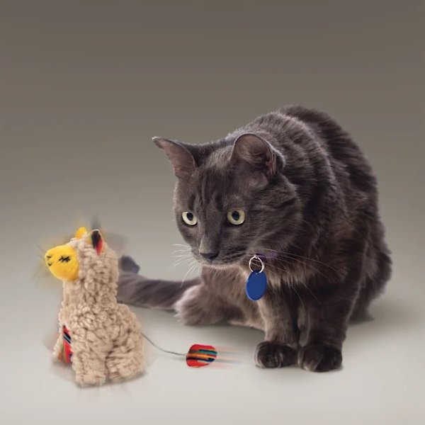 KONG 猫咪羊驼玩具
