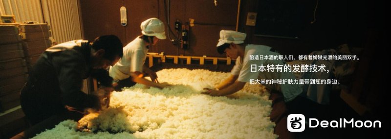 Rice Force介绍1.png