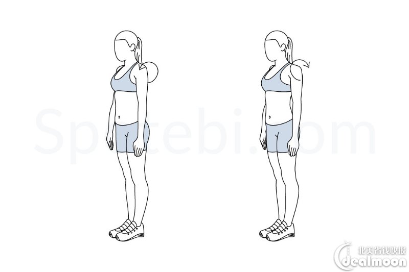 shoulder-rolls-exercise-illustration.jpg
