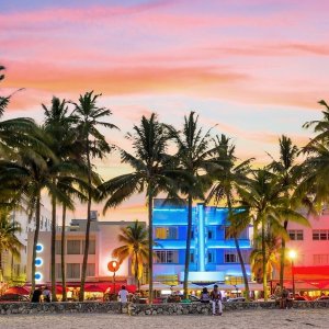 迈阿密 南海滩3.5星级贝尔福酒店 折扣特惠