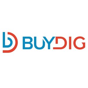 Save BigBuyDig Black Friday Deal