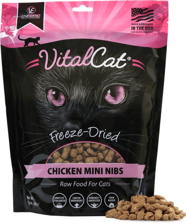 Chicken Mini Nibs Freeze-Dried Cat Food, 12-oz bag - Chewy.com