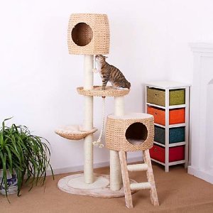 Select Pet Pals Cat Trees on Sale @ Petco