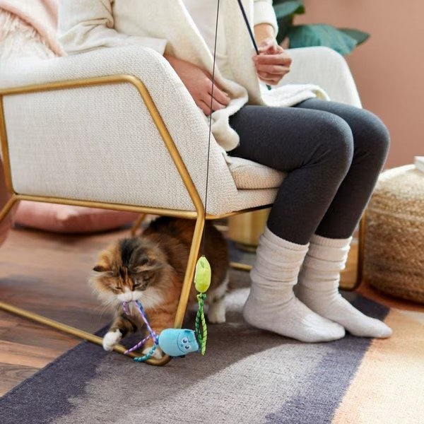 PIXAR Mike Wazowski & Sulley Teaser Cat Toy with Catnip - Chewy.com