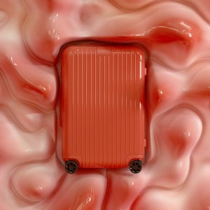Last Day: Rimowa Exclusive Early Access to Coral Restock