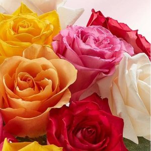 Up to 50%1-800-Flowers.com Mother’s Day