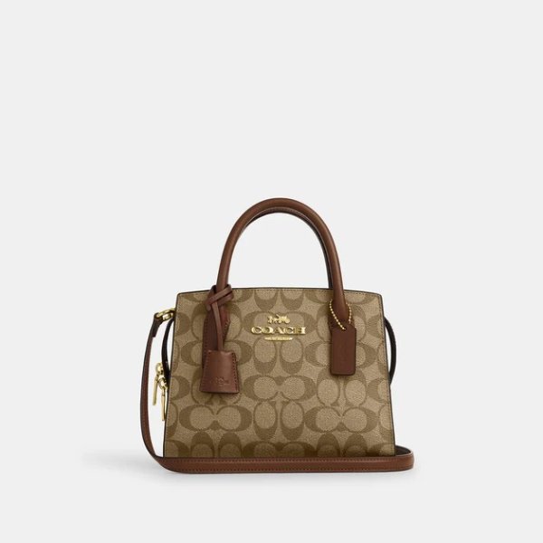andrea carryall in signature canvas