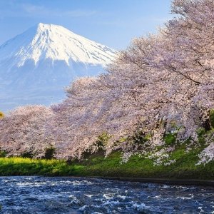 11-Day Japan and South Korea Tour with Hotels and Air
