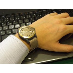 Victorinox Swiss Army Quartz Brown Dial Nylon Men's Watch 241516