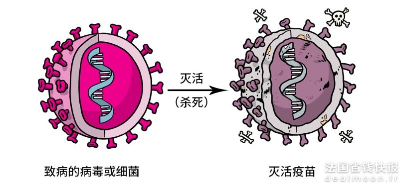 灭活疫苗 Inactivated Vac