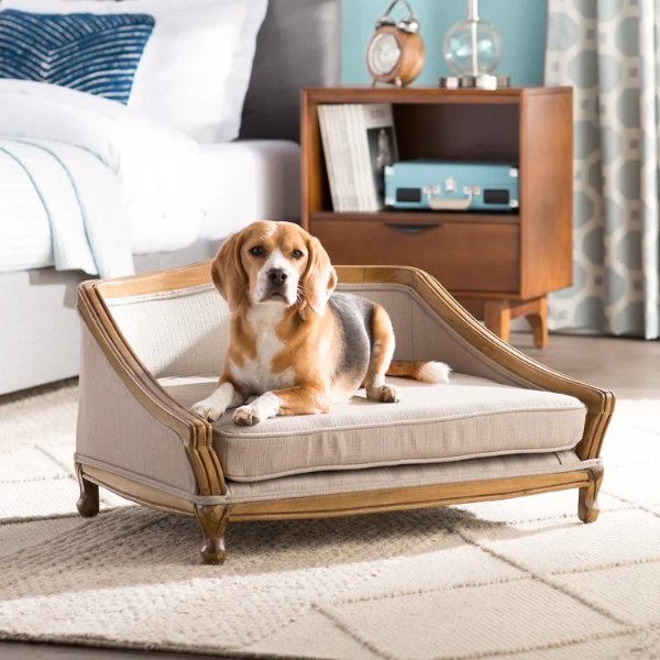 Anita Sophisticated Decorative Dog Sofa