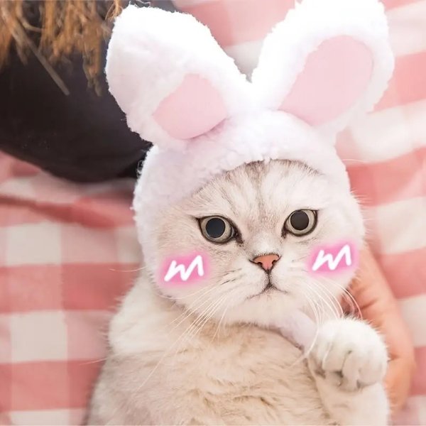 Adorable Pet Headdress Rabbit Ears Cat Headwear Pet Party Costume Hat For Small Dogs Cats - Pet Supplies - Temu