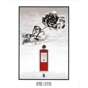 Serge Lutens Parfums 柏林少女玫瑰系香水热卖