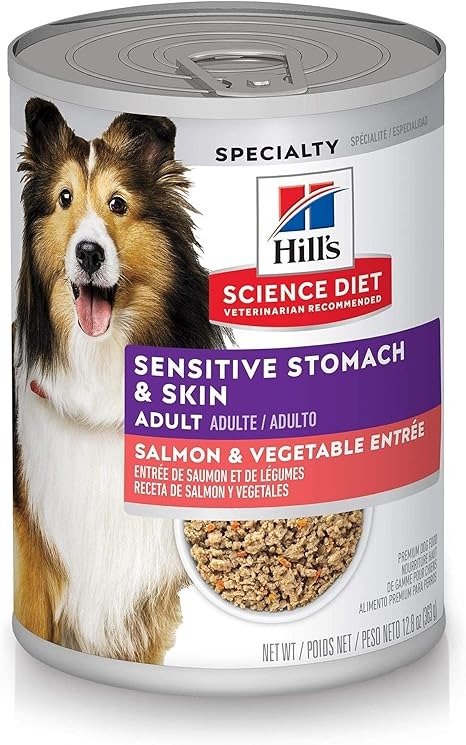 Wet Dog Food, Adult, Sensitive Stomach & Skin, Salmon & Vegetable Entree, 12.8 Ounce (Pack of 12)