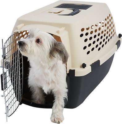 Frisco Plastic Kennel, Almond &amp; Black, Small - Chewy.com