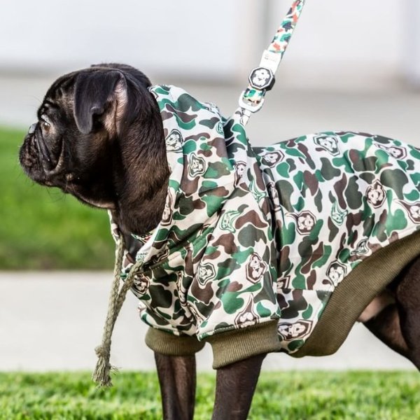 Hype Camo Hoodie | Dog Clothing