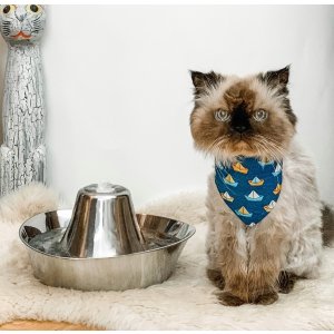 Chewy Pet Fountains & Feeders on Sale