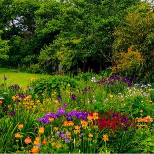 2024 切尔西花展🌹上百个花园任君参观！还有全天票 £75起！