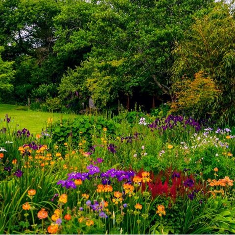 一年一度的春日庆典！5.21-5.25持续5天2024 切尔西花展🌹上百个花园任君参观！还有全天票 £75起！