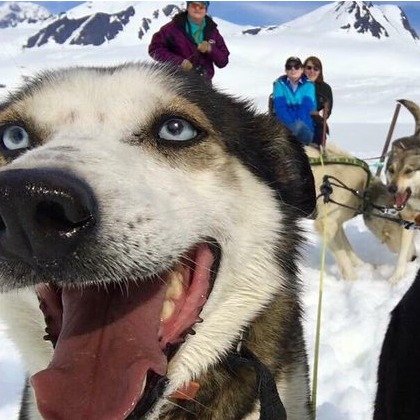 Helicopter and Glacier Dogsled Tour