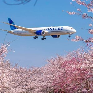 United Airlines Sale to Japan  From 25k MileagePlus Points One-Way Plus Taxes