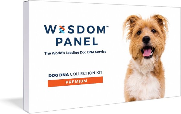 Premium Dog DNA Test - Chewy.com