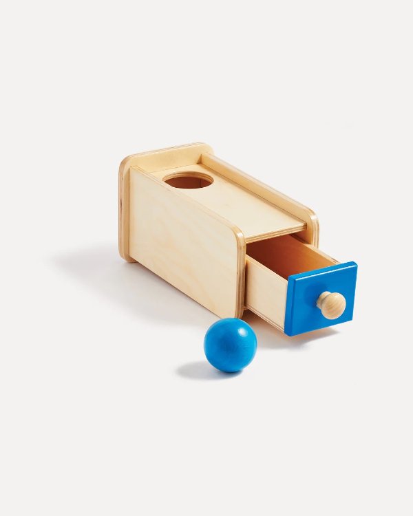 Hide and Seek Object Permanence Box: Challenge Your Baby's Memory