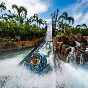 Sea World Orlando Four Parks Ulimited Visits