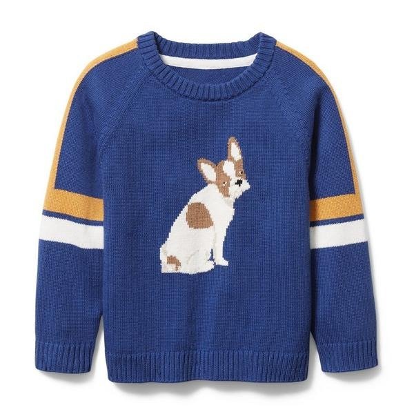 Frenchie Pullover