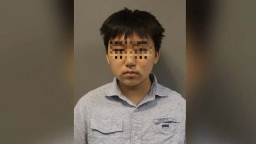 美国马里兰18岁华裔高中生被捕！129页校园枪击策划案曝光，内容毛骨悚然...