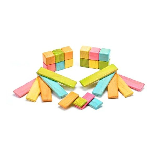 26-Piece Discovery Magnetic Wooden Block Set