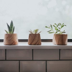 POTEY Succulent Planter Pots, 3.1+2.9+2.5 Inch Brown Wooden Patterned