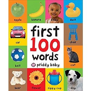 First 100 单词纸板书