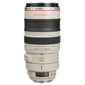Canon EF 100mm - 400mm f/4.5-5.6L USM Lens