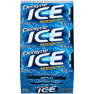 Dentyne Ice Sugar Free Gum (Peppermint 16 Piece Pack of 9)