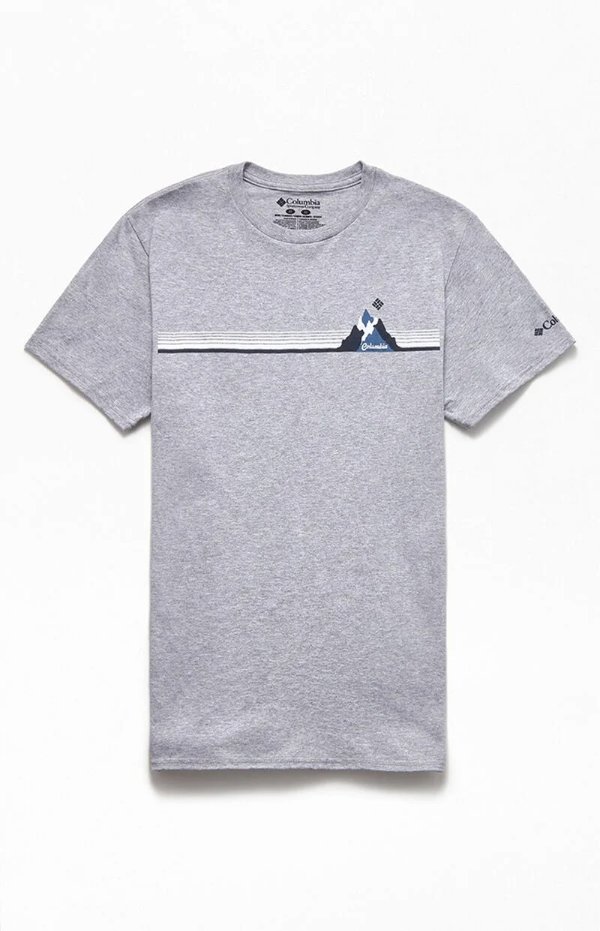 Chandler T-Shirt | PacSun