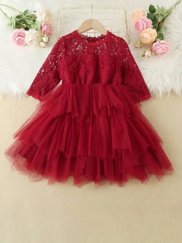Toddler Girls Contrast Lace Layer Mesh Hem Dress