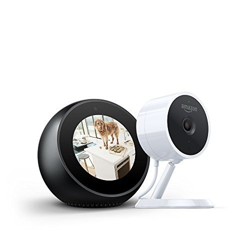 Echo Spot - Black + Amazon Cloud Cam Security Camera Bundle