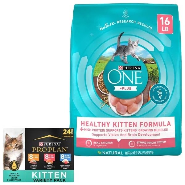 Bundle: Purina ONE Healthy Kitten Formula Dry Food + Pro Plan FOCUS Kitten Favorites Wet Kitten Food