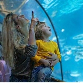 Explore the Depths with New York Aquarium Admission for One Child or Adult (Up To 10% Off)