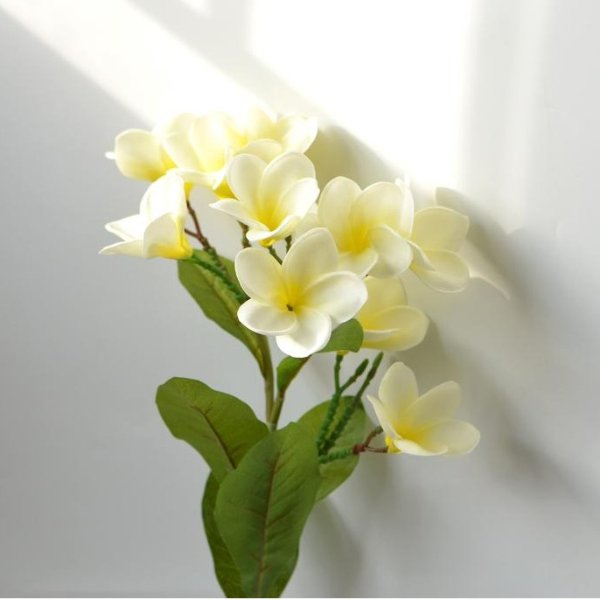 DIY Wedding Centerpieces Ivory Yellow frangipani Plumerias | Etsy
