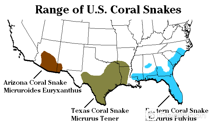 Coral Snake 珊瑚蛇 美国分布图