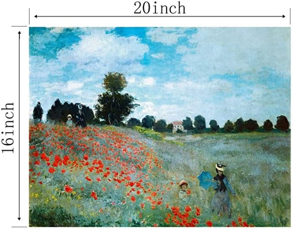 LFRINDS Monet's Paint by Numbers for Adults DIY Oil Paint by Numbers Kit for Beginners with Wrinkle-Free Linen Canvas, Eco-Friendly Pigment, Nylon Brush, 16x20 inch (Red Flowers)