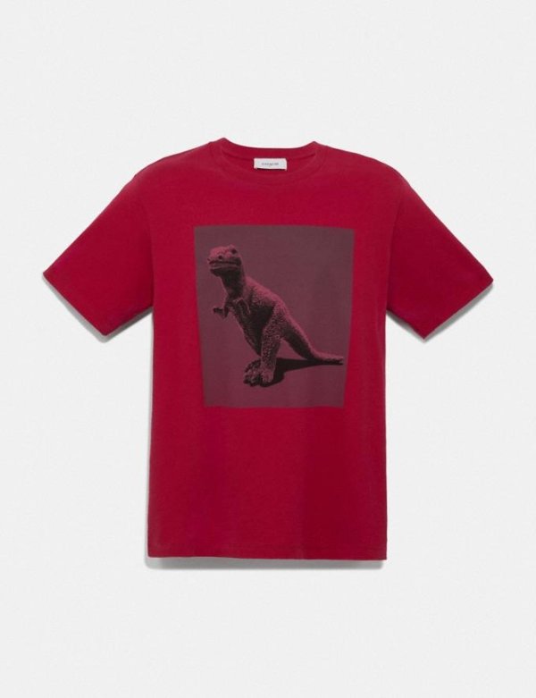 小恐龙T恤