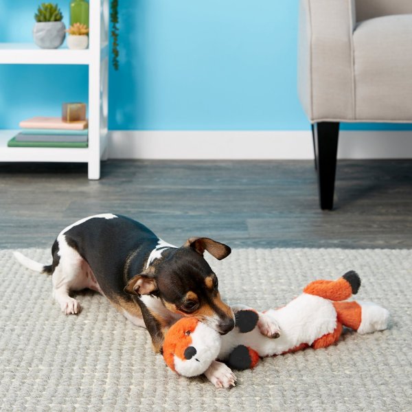 Skinny Plush Squeaking Fox Dog Toy - Chewy.com