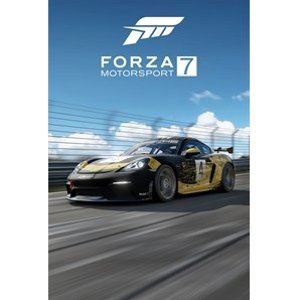 Forza Motorsport 7 2019 Porsche 718 Cayman GT4 Clubsport