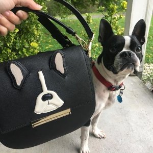 Animal Collection@ kate spade 30% Off - Dealmoon